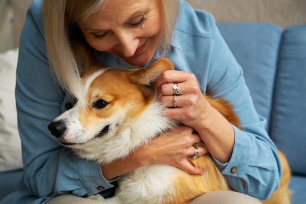 Training techniques for pets?>